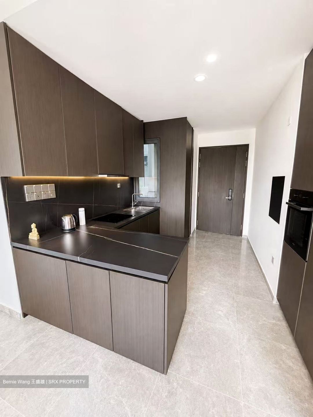 Hyll On Holland (D10), Condominium #602186161